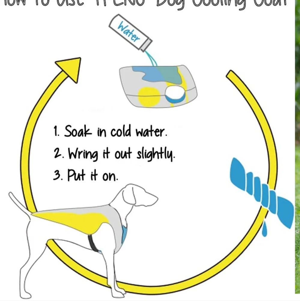 NEW TFENG Dog Cooling Coat~DogLemi~Large~Summer Care
